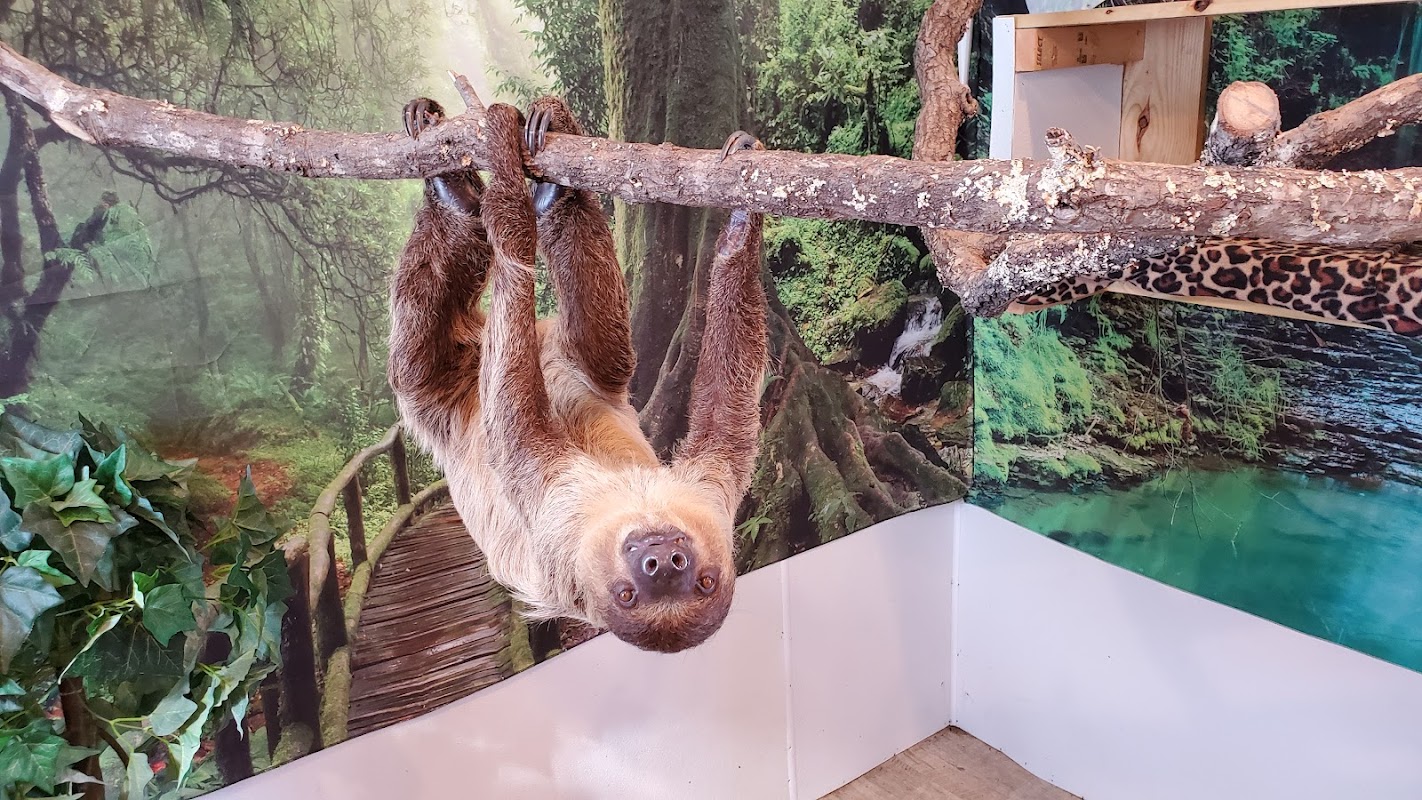 Fields Farm Market photo 5