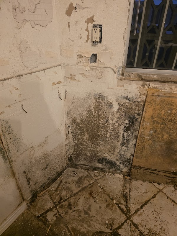 Lion Stop Loss Cleaning & Restoration — photo