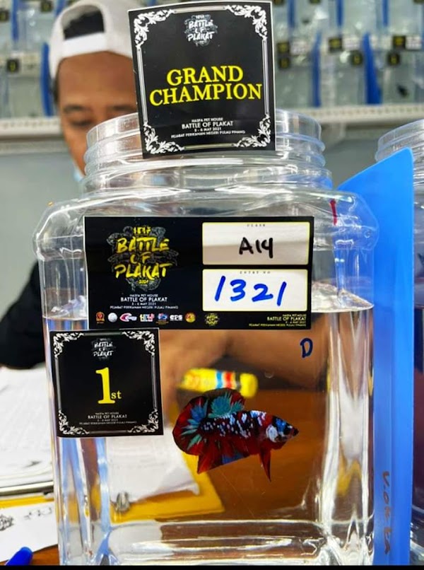 D' Selera Tok Nadoq - Photo 1