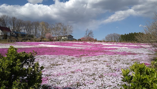 Kita no Mori Country Club - Photo 10