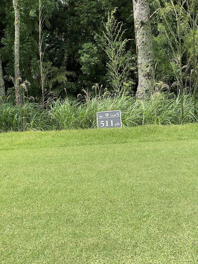 Daikoka Country Club Aburahi Course - Photo 6