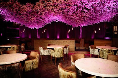 Akshaya - The Picture Drome