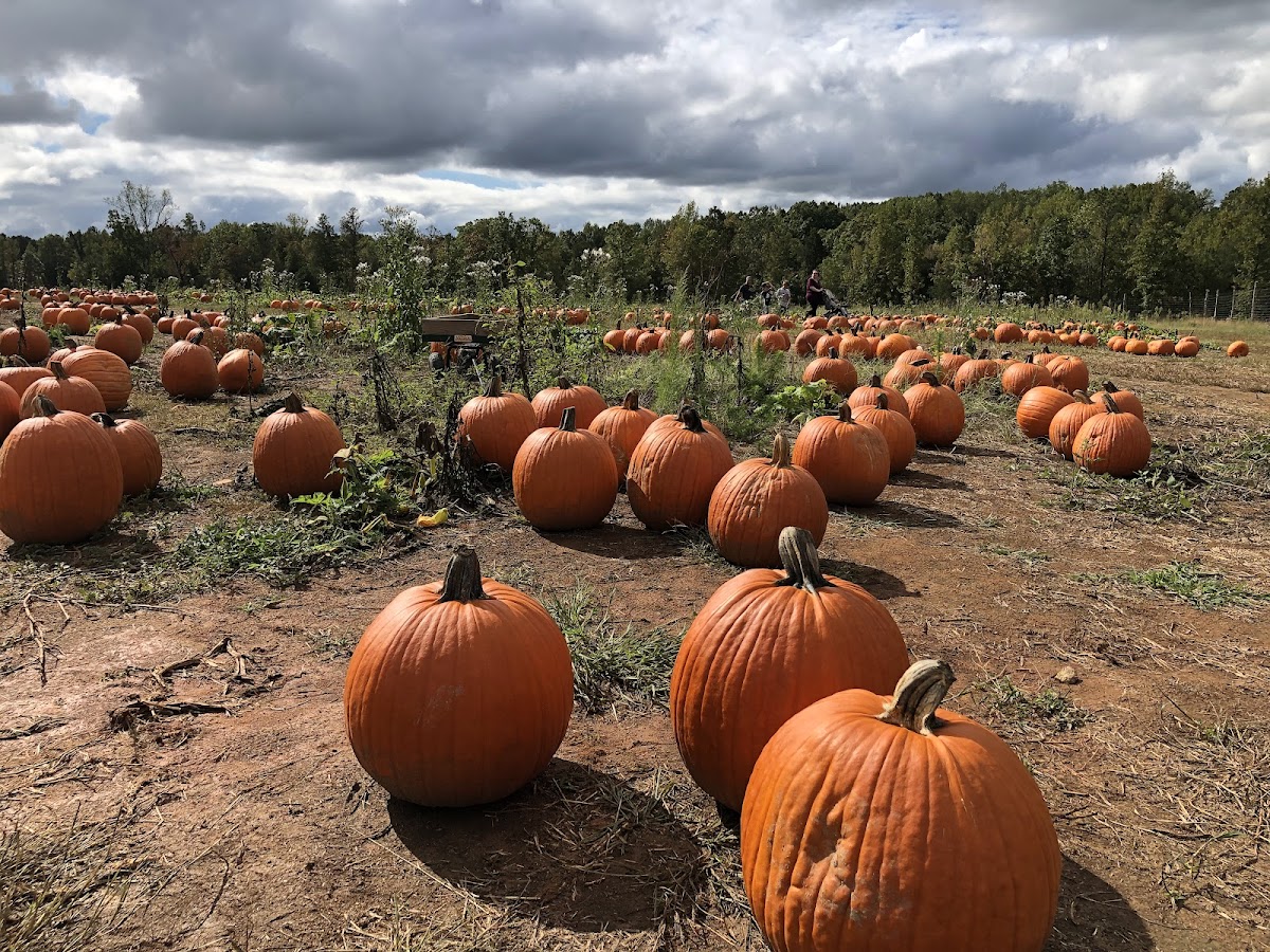 Hall Family Farm