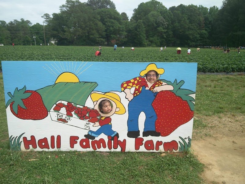 Hall Family Farm - Photo 3