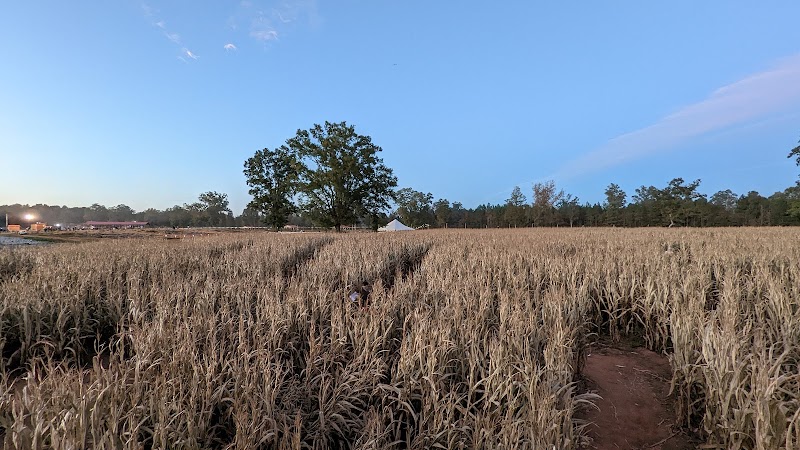 Hall Family Farm - Photo 6