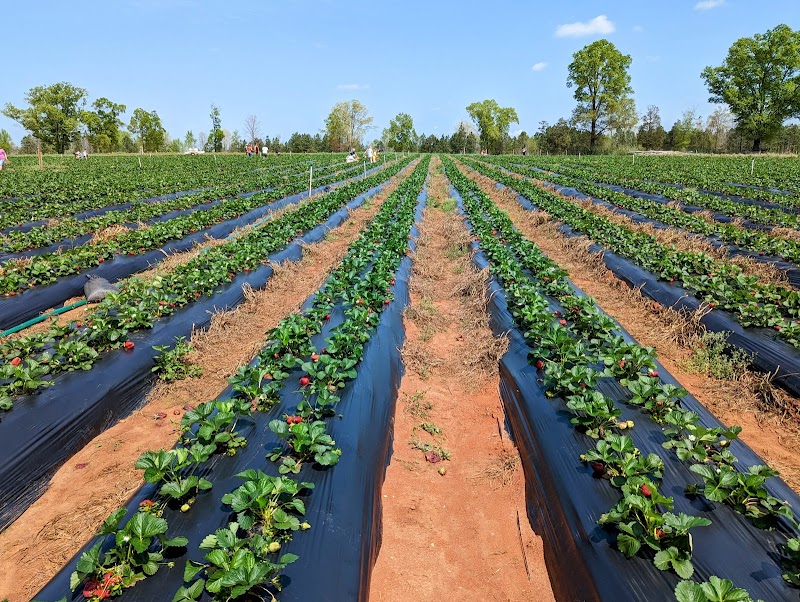 Hall Family Farm - Photo 2