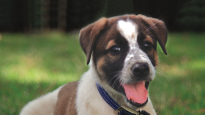 גל כתב - מרכז לאהוב אותם עם כל הלב