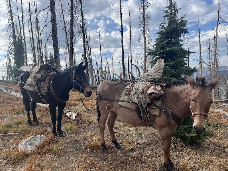 Deadwood Outfitters - Photo 3