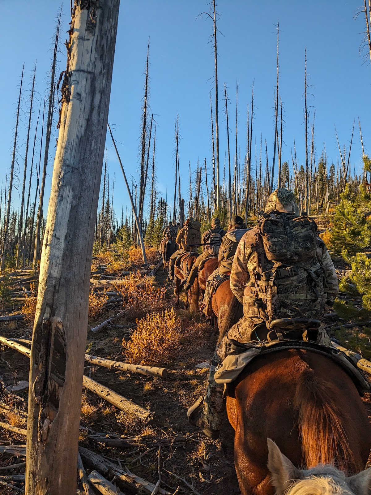 Deadwood Outfitters