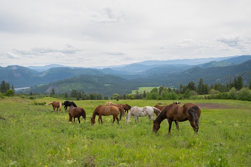 Bull Hill Guest Ranch - Photo 1