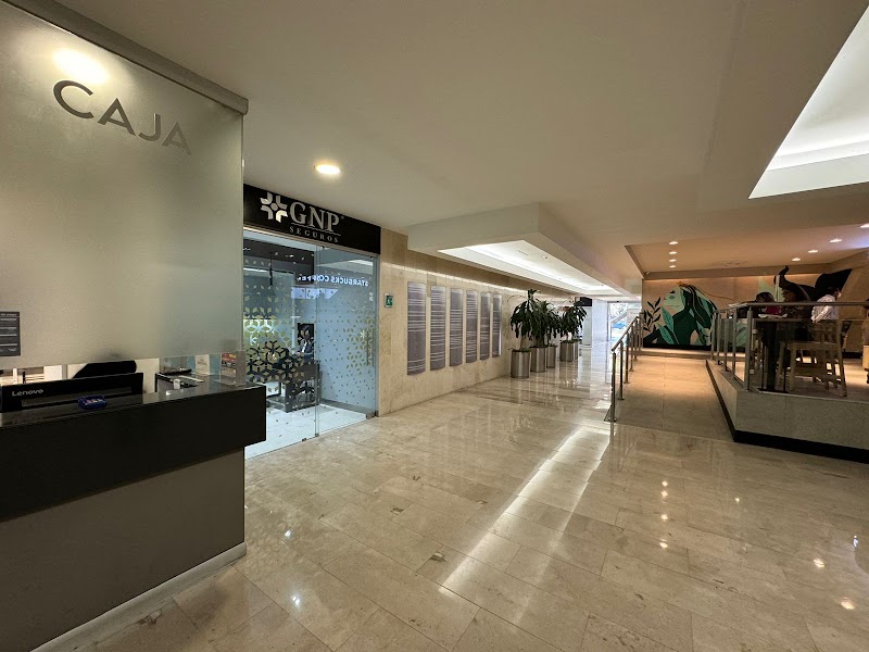 Gallery 1