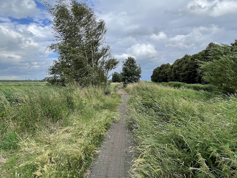 Natuurstrook Molenland