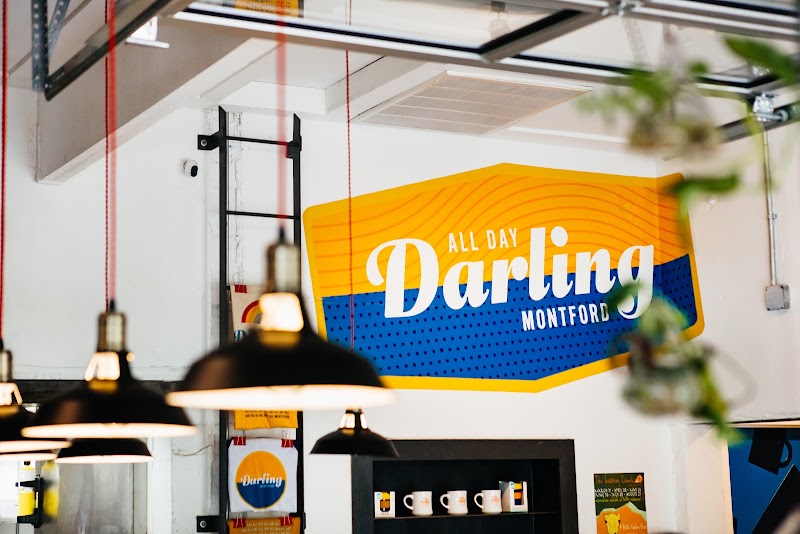 All Day Darling photo 4