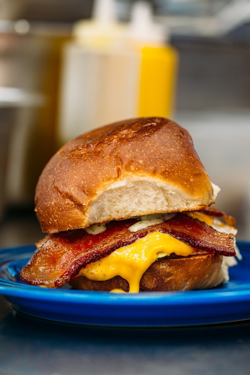 All Day Darling photo 2