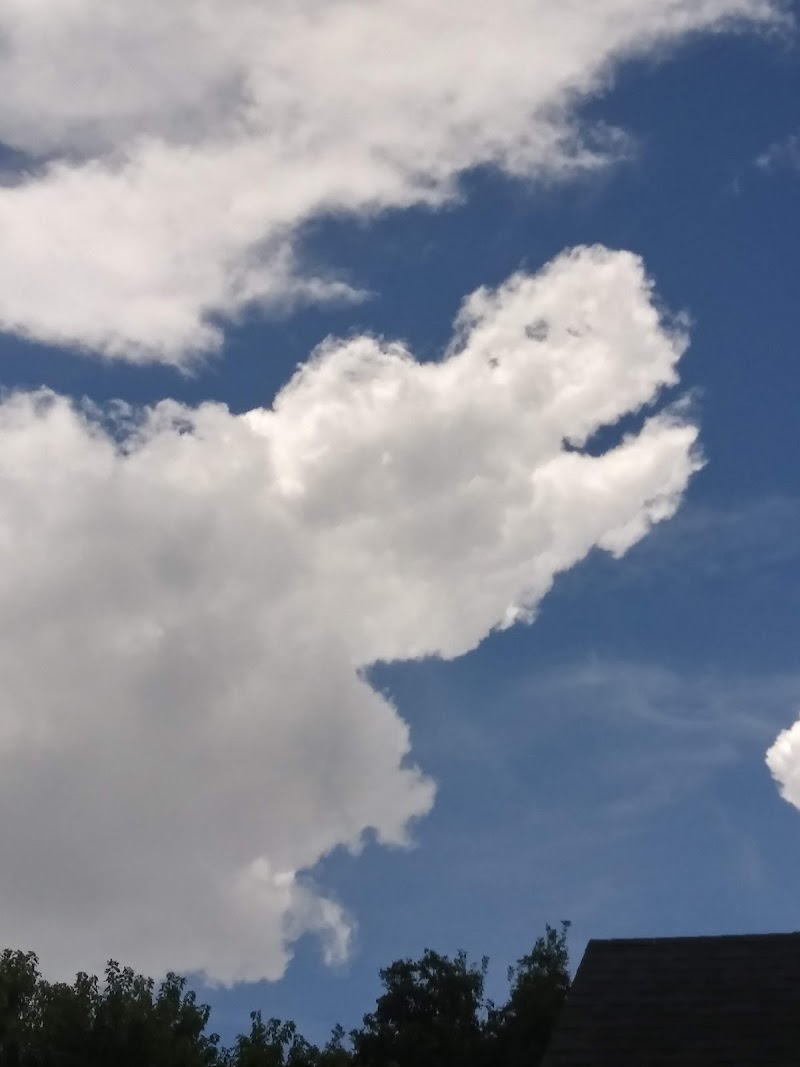 GEORGE KOSTOPOULOS radon testing