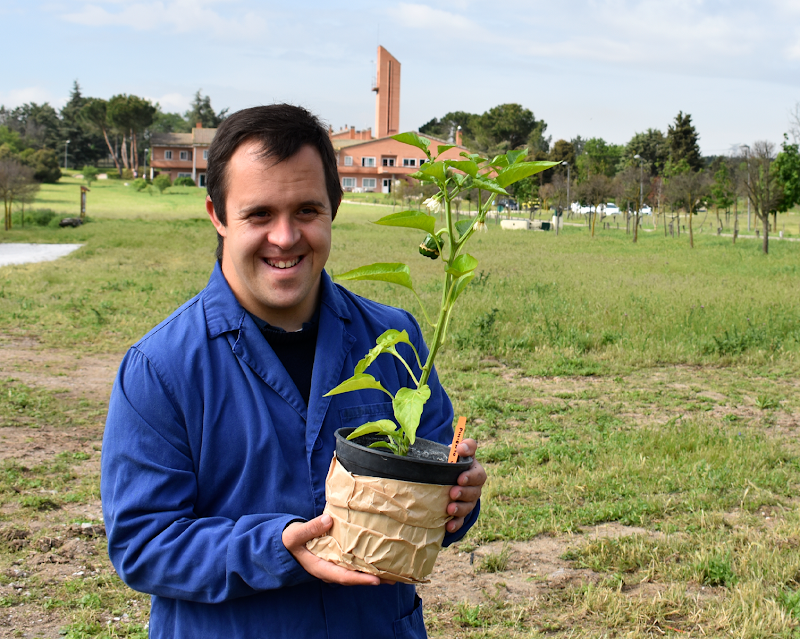 Granja San José Gil Gayarre Foundation