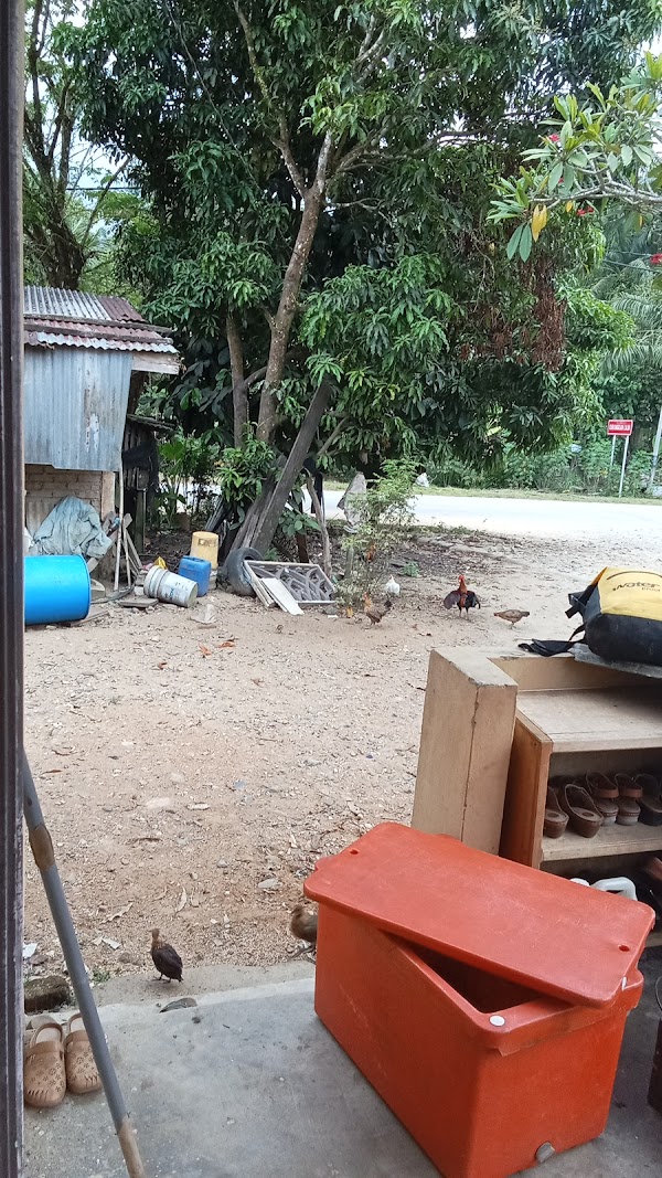 Warung Bismillah - Photo 1