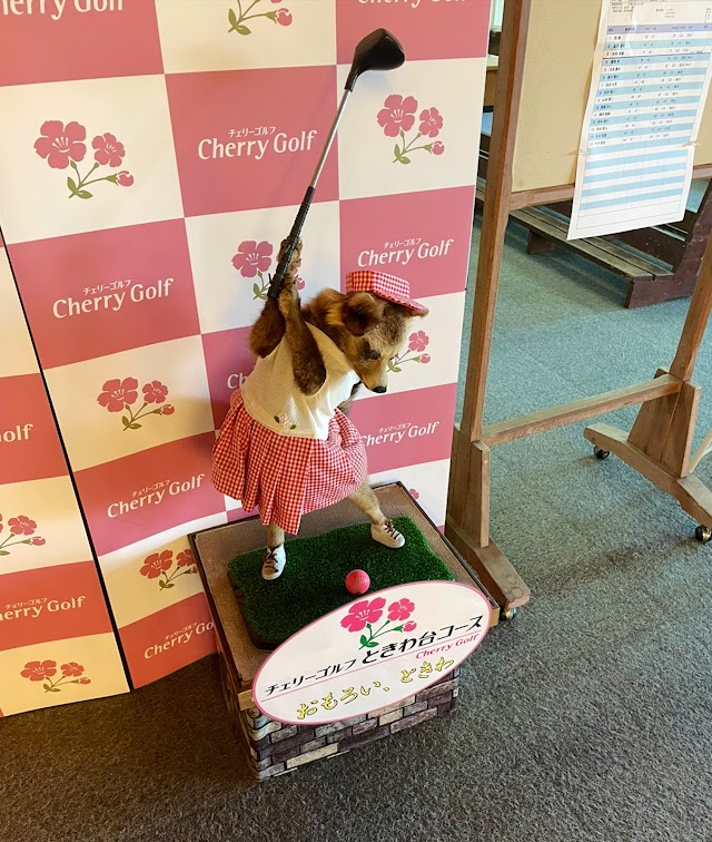 Cherry Golf Tokiwadai Course - Photo 8