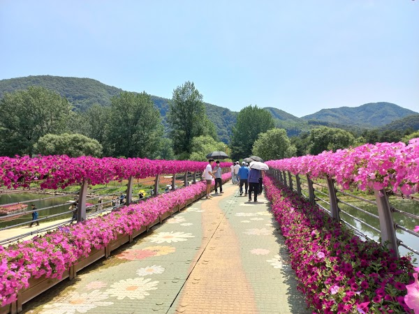 자라섬 1