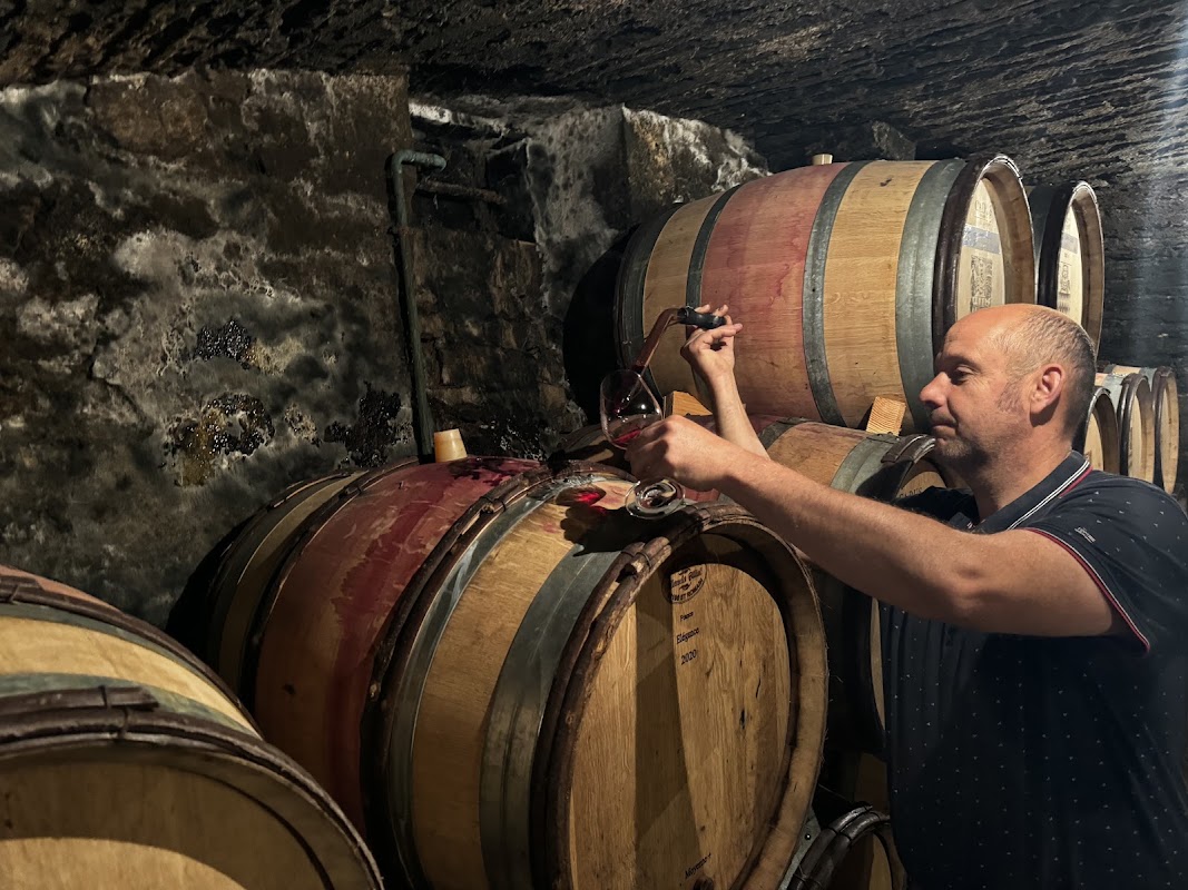 Domaine DUBREUIL Philippe et Arnaud