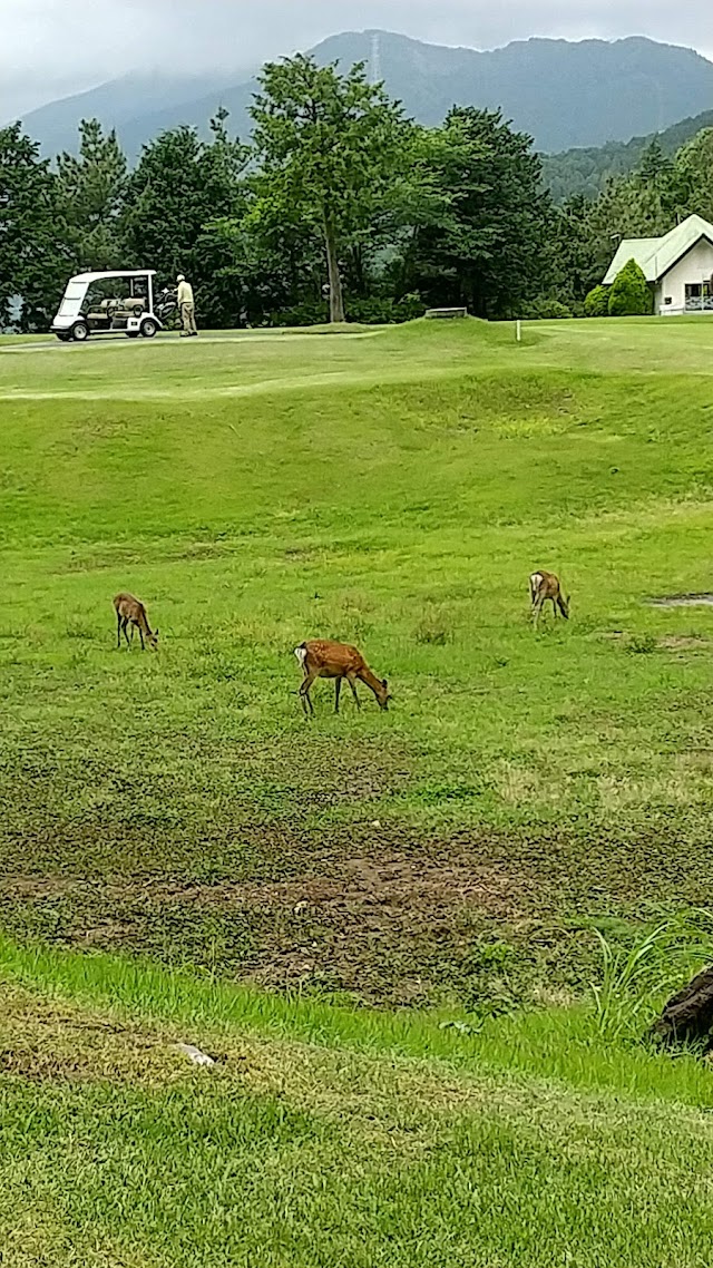 Tokyo Country Club - Photo 7