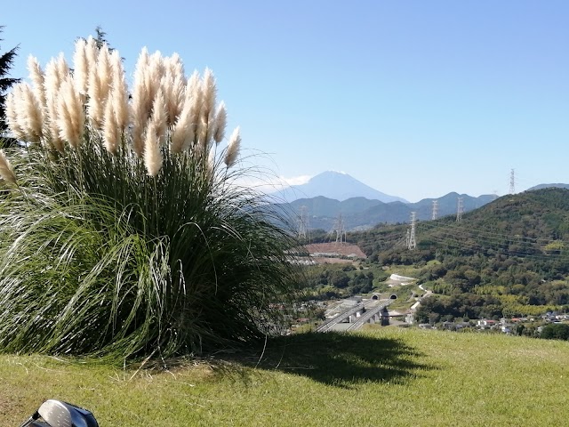 Tokyo Country Club - Photo 10