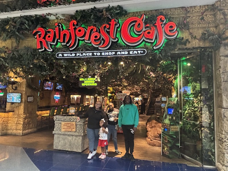 Rainforest Cafe photo 5