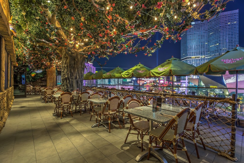 Rainforest Cafe fotoğraf 1