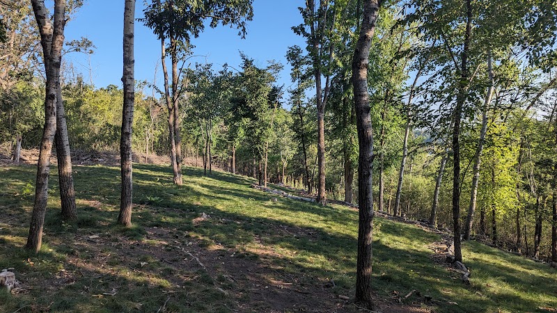 Sterling Hill Disc Golf Course photo 1