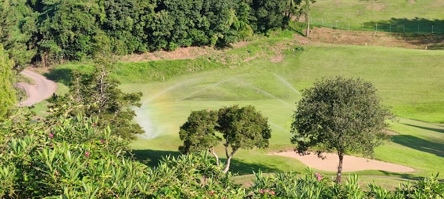 Cherry Golf Uto Course - Photo 8