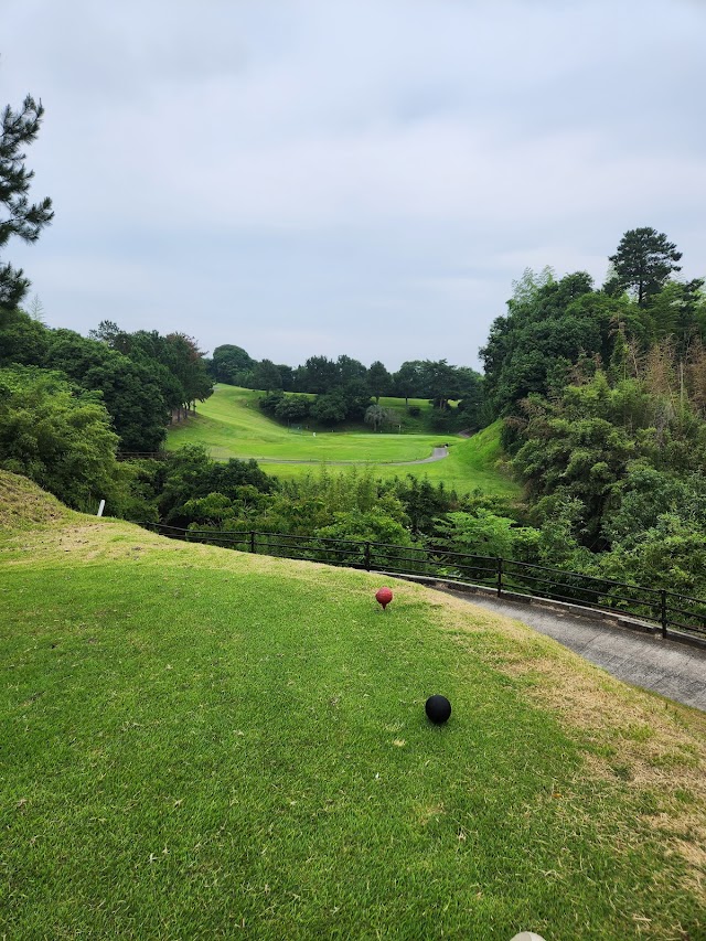 Cherry Golf Uto Course - Photo 1