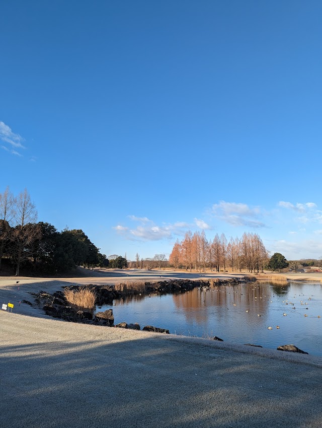 G7 Country Club - Photo 4