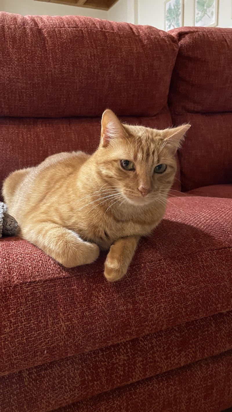 Centro Veterinario Malawi