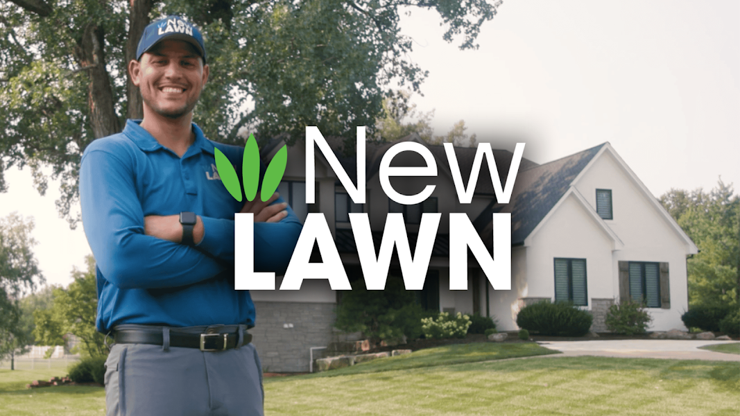 New Lawn KC