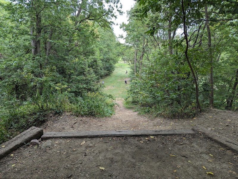 Wheeler Park photo 3