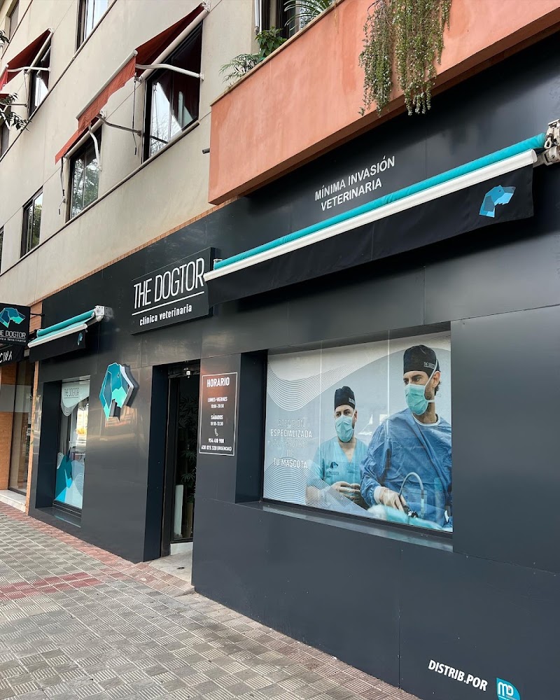 THE DOGTOR CLINICA VETERINARIA