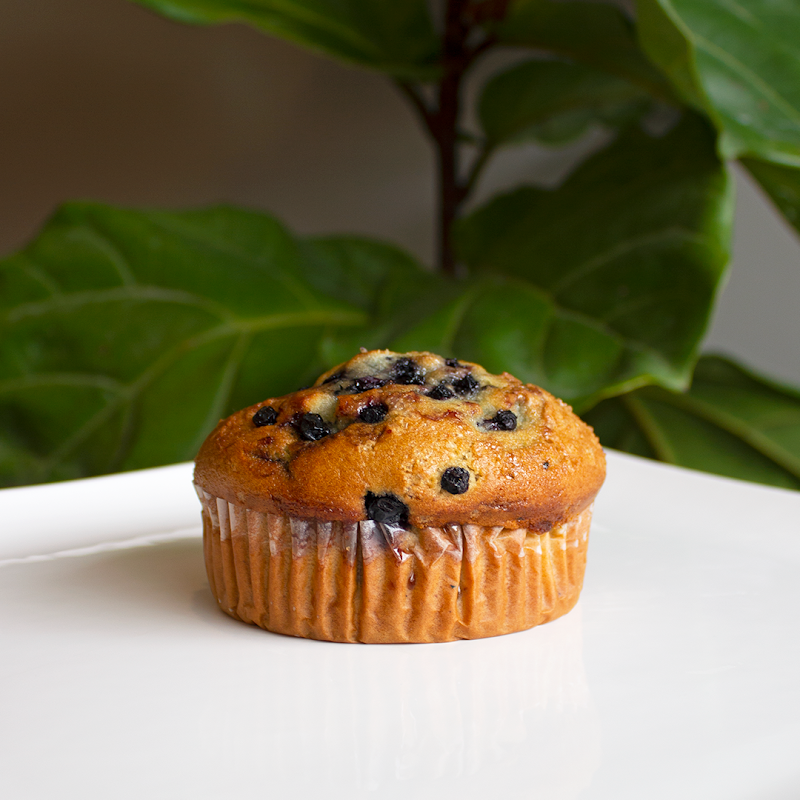 Coffe Amor at Wapak YMCA photo 2