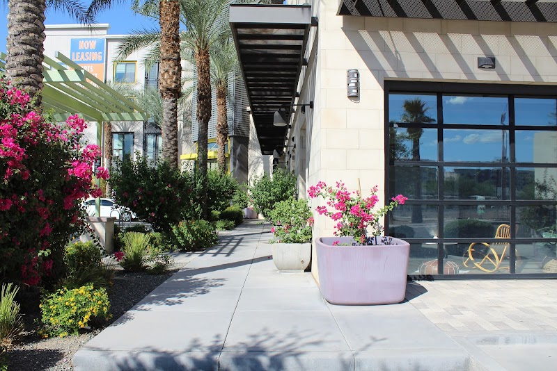 Chic Artistry Studio — Art Studio in Phoenix