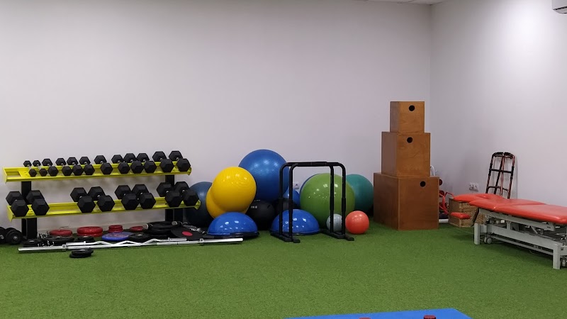 Fisioterapia Es Movimiento