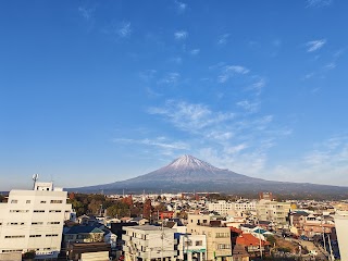 Mt. Fuji World Heritage Centre photo