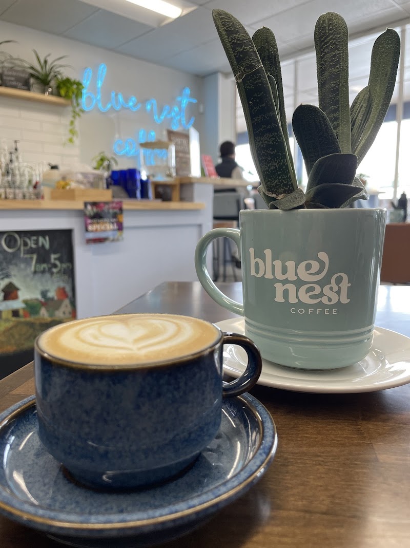 Blue Nest Coffee photo 3
