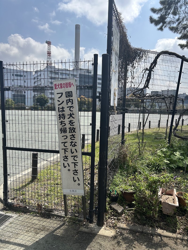 中目黒公園 健康とスポーツの広場の外観