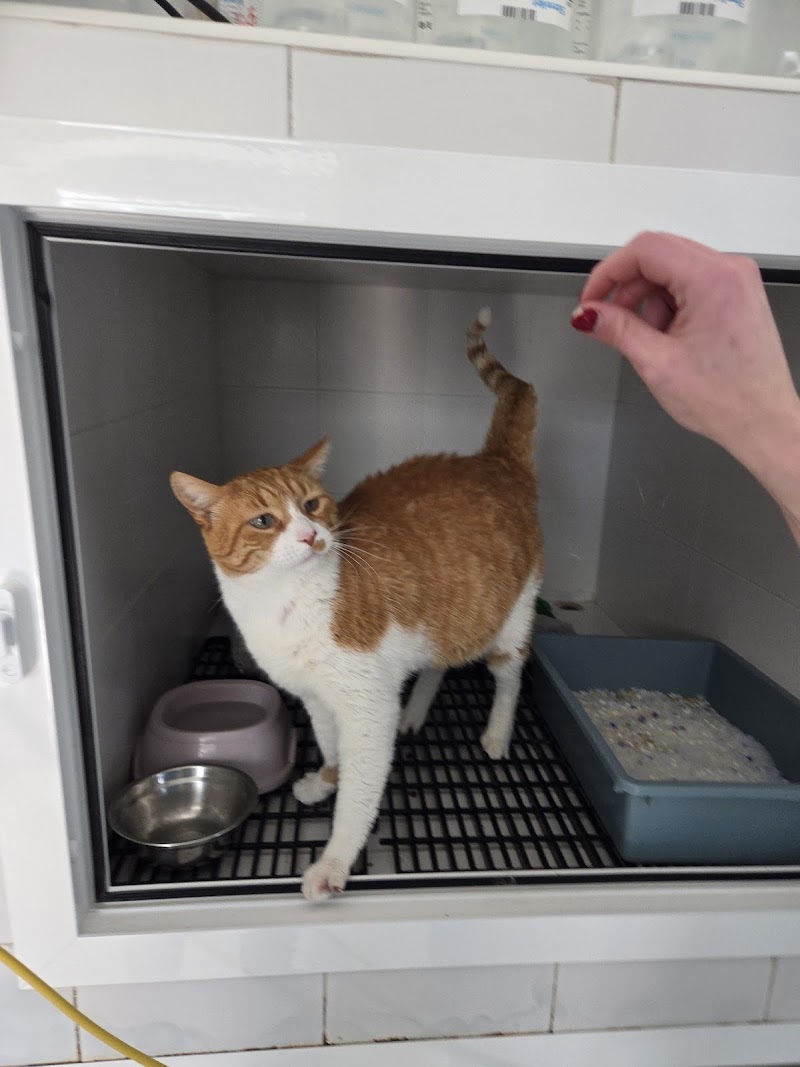 Centro Veterinario Dr. Gorriti