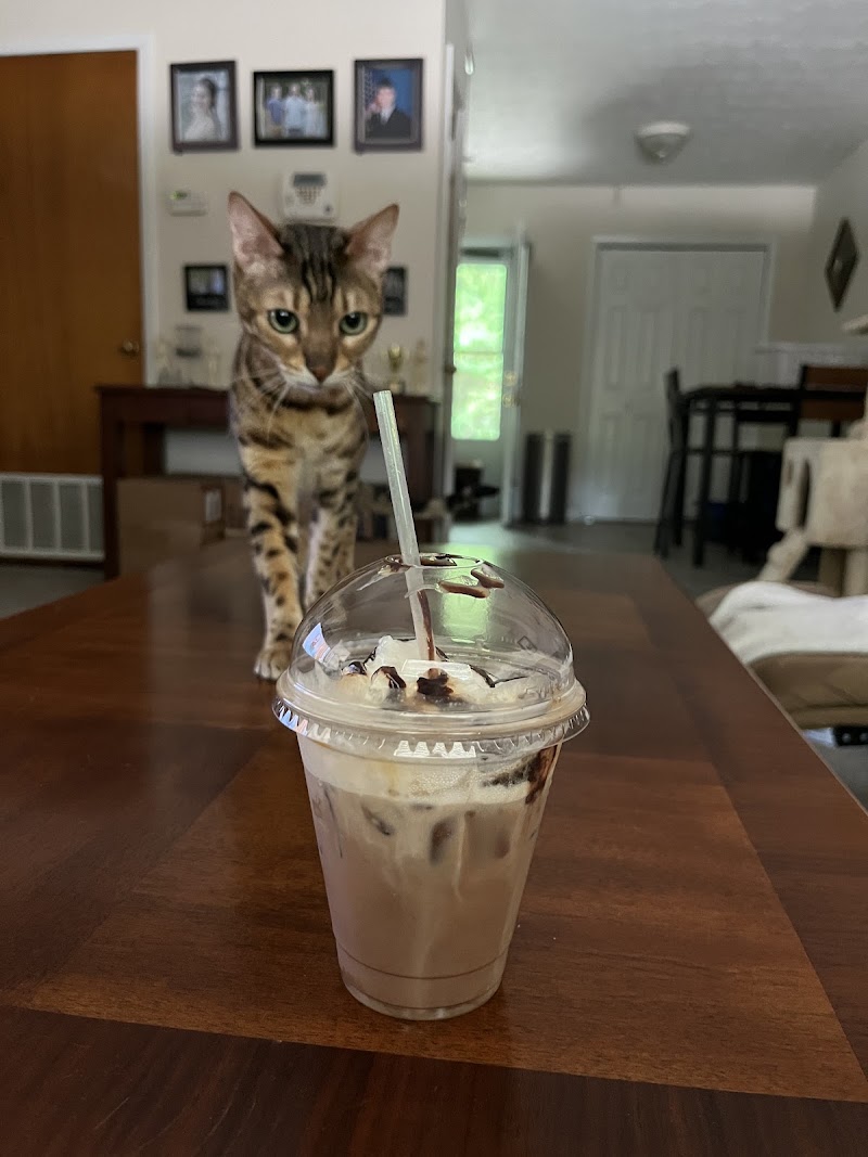 Mudslingers Drive-Thru Coffee photo 1