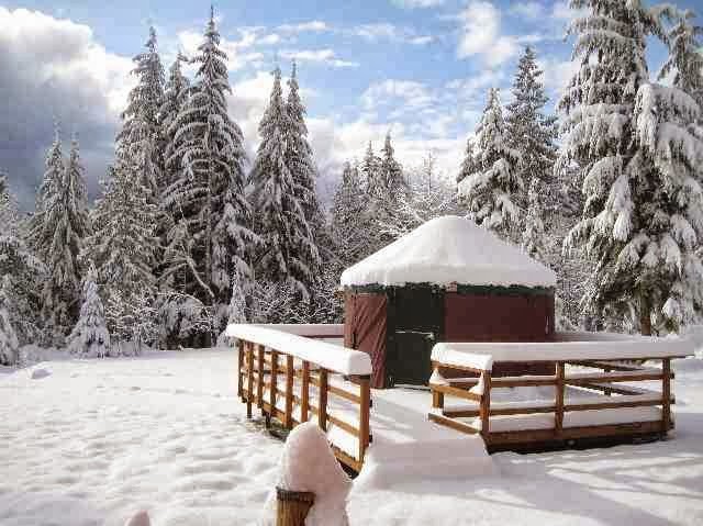 Paca Pride Guest Ranch - Photo 6