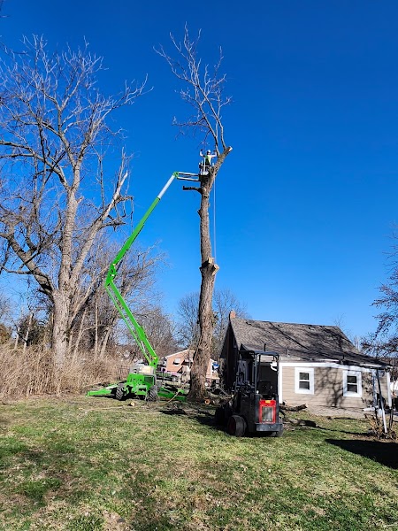 New Leaf Tree Service Kansas City