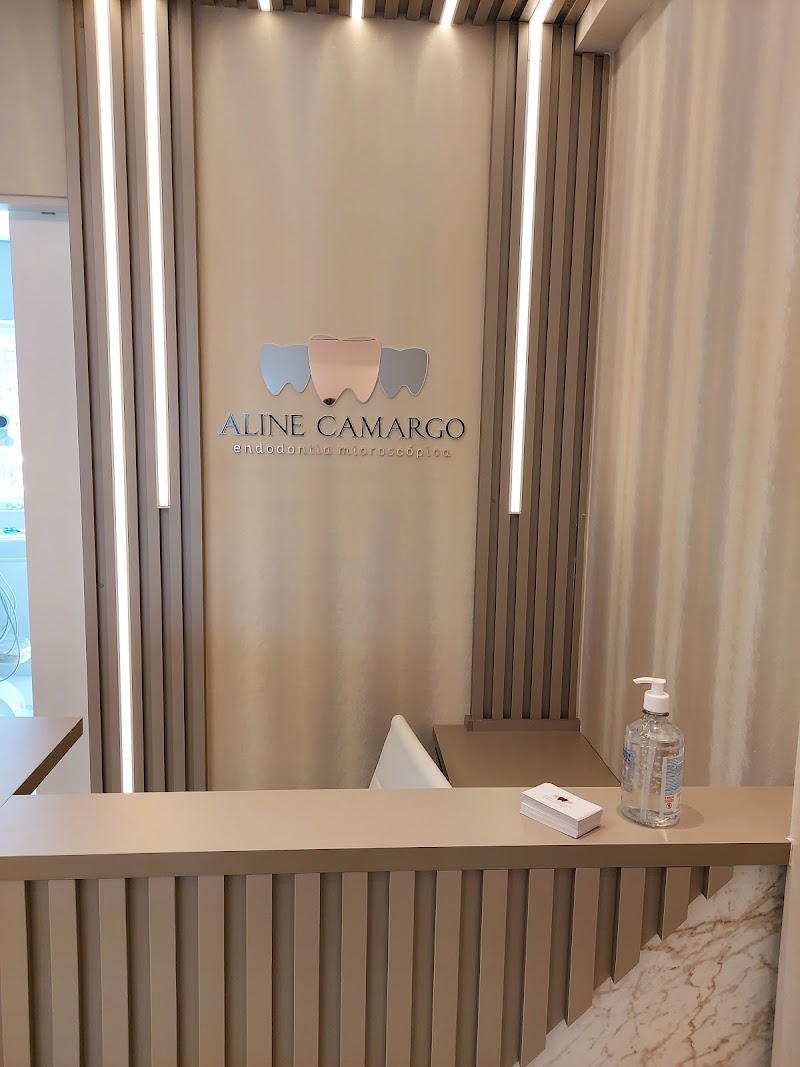 Dra Aline Camargo - Endodontia Microscópica - foto 2