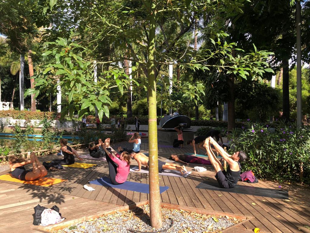Tenerife Ashtanga Shala — 3