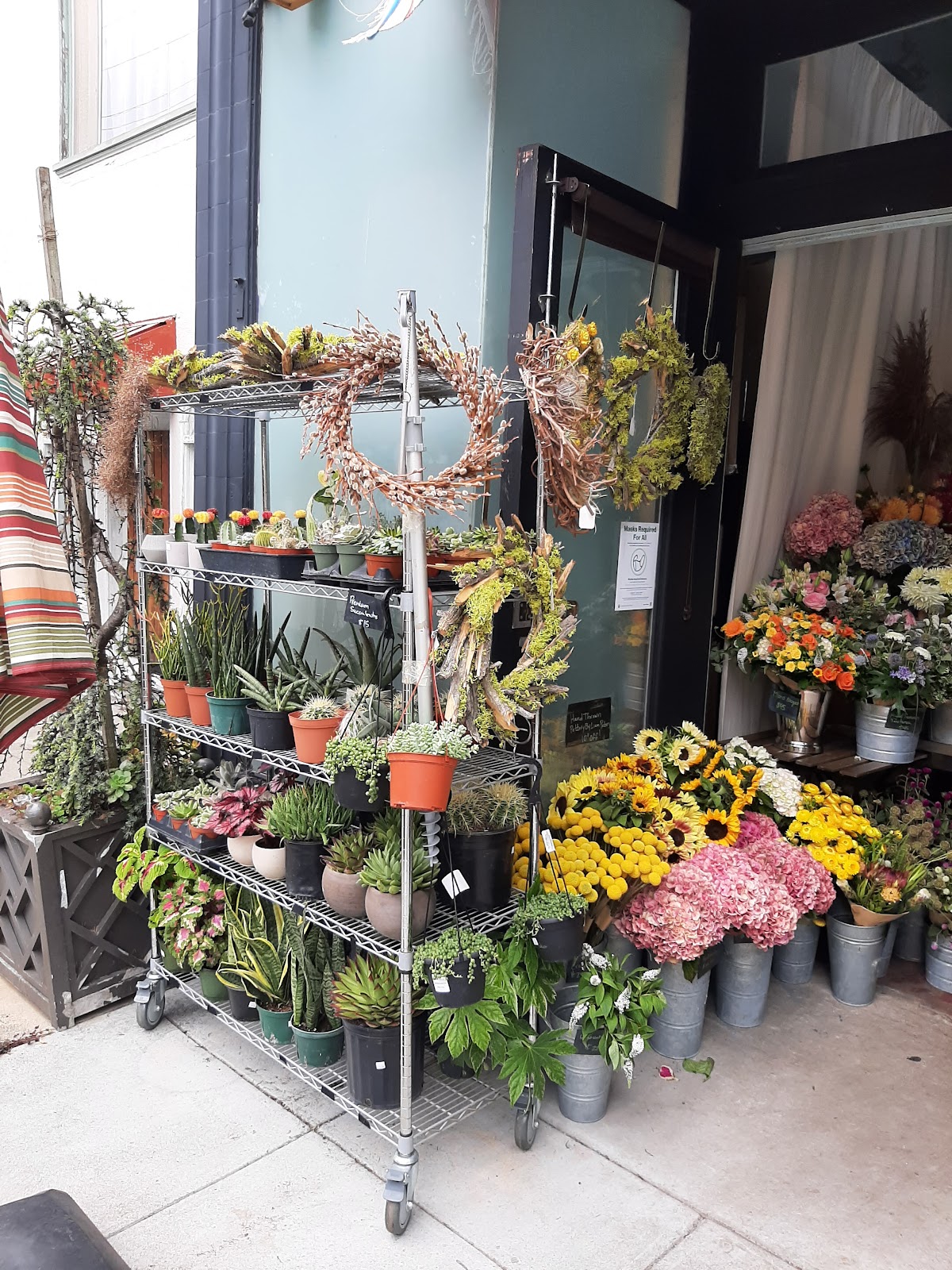 Paul Robertson Floral Design: Google Places image 4