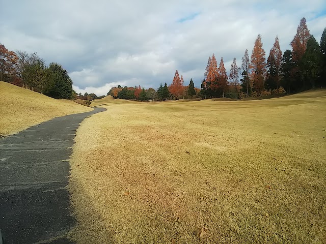 Forest Miki Golf Club - Photo 10